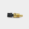  ESSW-07 Customized Water Temperature Sensor for Engine 