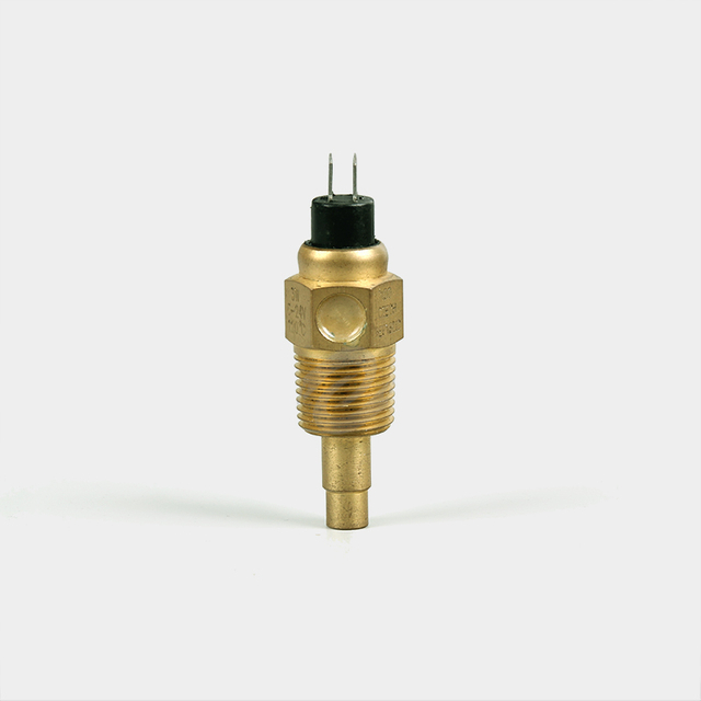 Mechanical 2 Pin ESSW-09 Water Temperature Sensor for Automotive