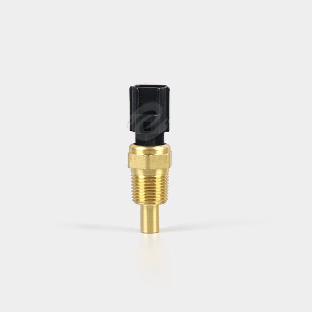 ESSW-07 Customized Water Temperature Sensor for Engine