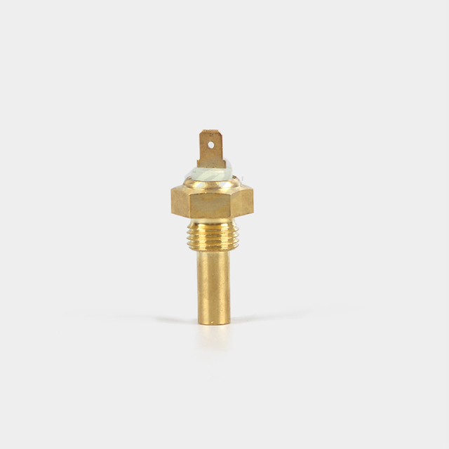 Eosin Electronic Water Temperature Sensor for Auto Spare Parts