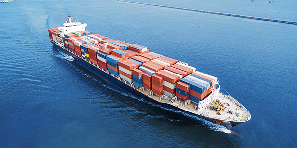 Epidemic Control Port Congestion